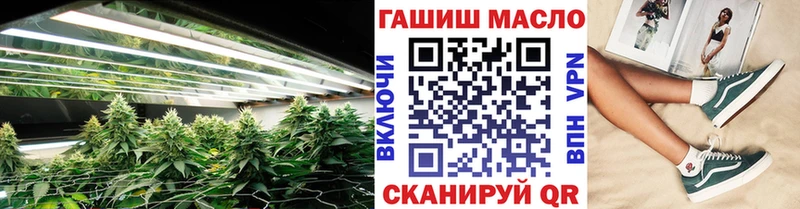 площадка какой сайт  Североморск  ТГК THC oil  МЕГА зеркало 