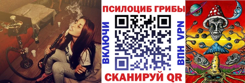 Псилоцибиновые грибы GOLDEN TEACHER  дарнет шоп  Североморск 