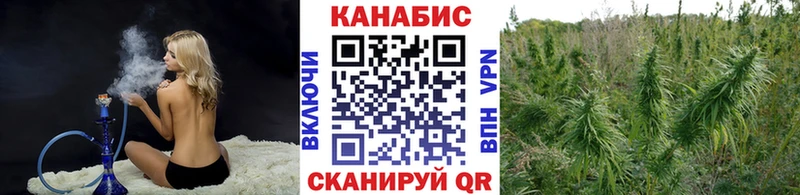 купить наркотик  Североморск  Бошки Шишки Bruce Banner 